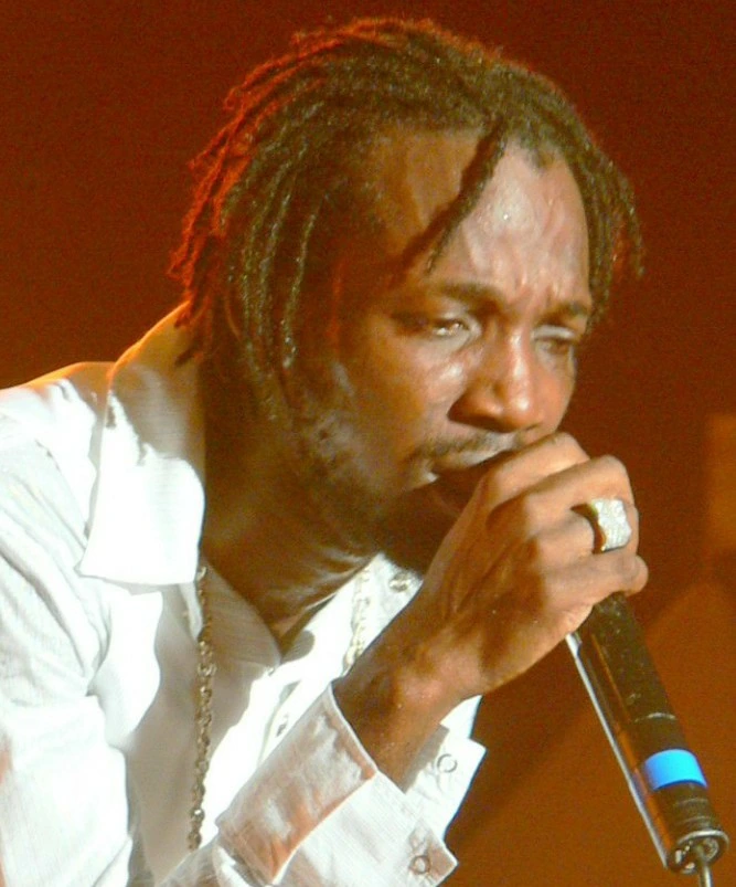 Vybz Kartel and Mavado Net Worth: How to Estimate and Verify