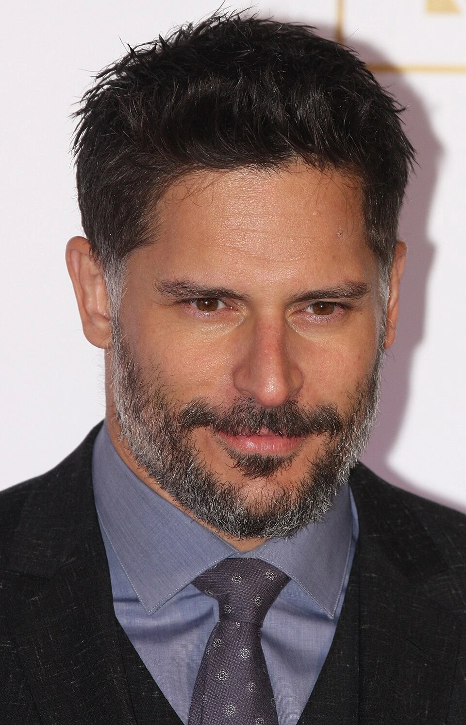 Sofia Vergara Husband Net Worth: Joe Manganiello Figures